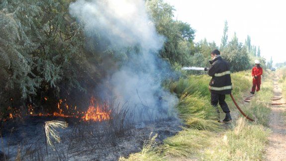 La gran mayoría de los siniestros son iniciados para limpiar predios abandonados. Los Bomberos quieren discutir la situación con el Municipio y el Consorcio de Regantes.