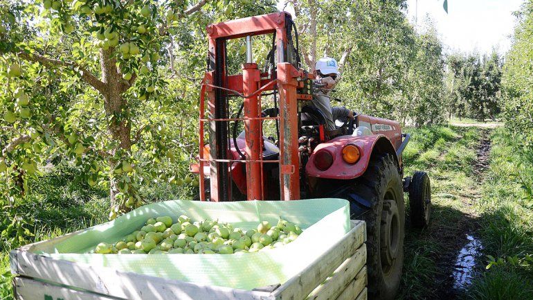 Ocampos quiere compensar la diferencia entre ingresos y costos.
