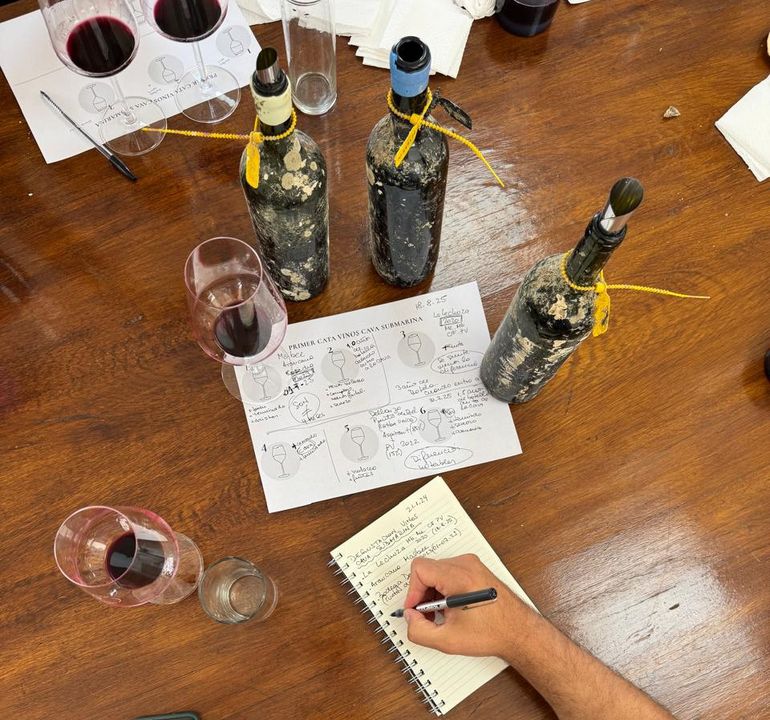 Tras la extracci&oacute;n, se realiz&oacute; una cata a ciegas para analizar el producto.&nbsp;