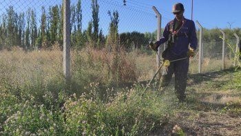 la muni sale a limpiar baldios y cobrara multas a los duenos