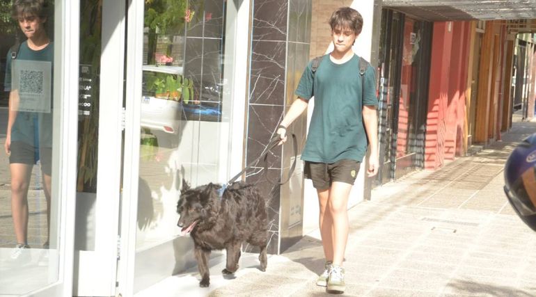 Ramiro por ahora pasea a su propia perra esperando clientes para poder costearse futuro viaje.