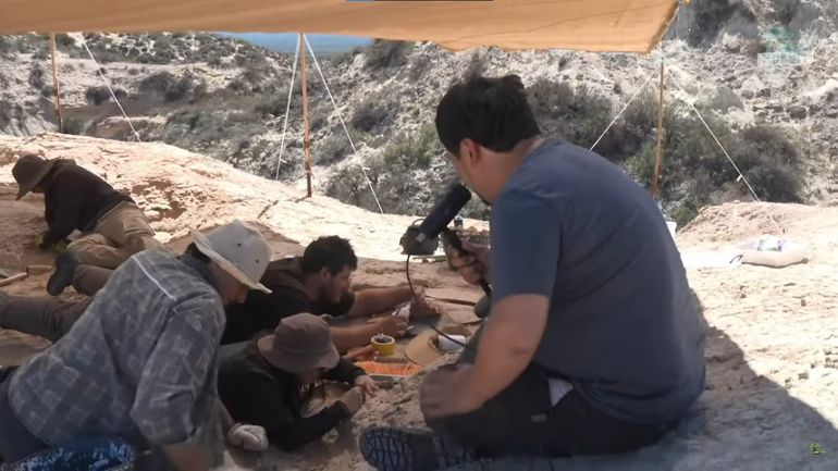 Avanza el streaming de la Expedición Cretácica y en el segundo día extrajeron en vivo el fósil del Bonapartenykus.