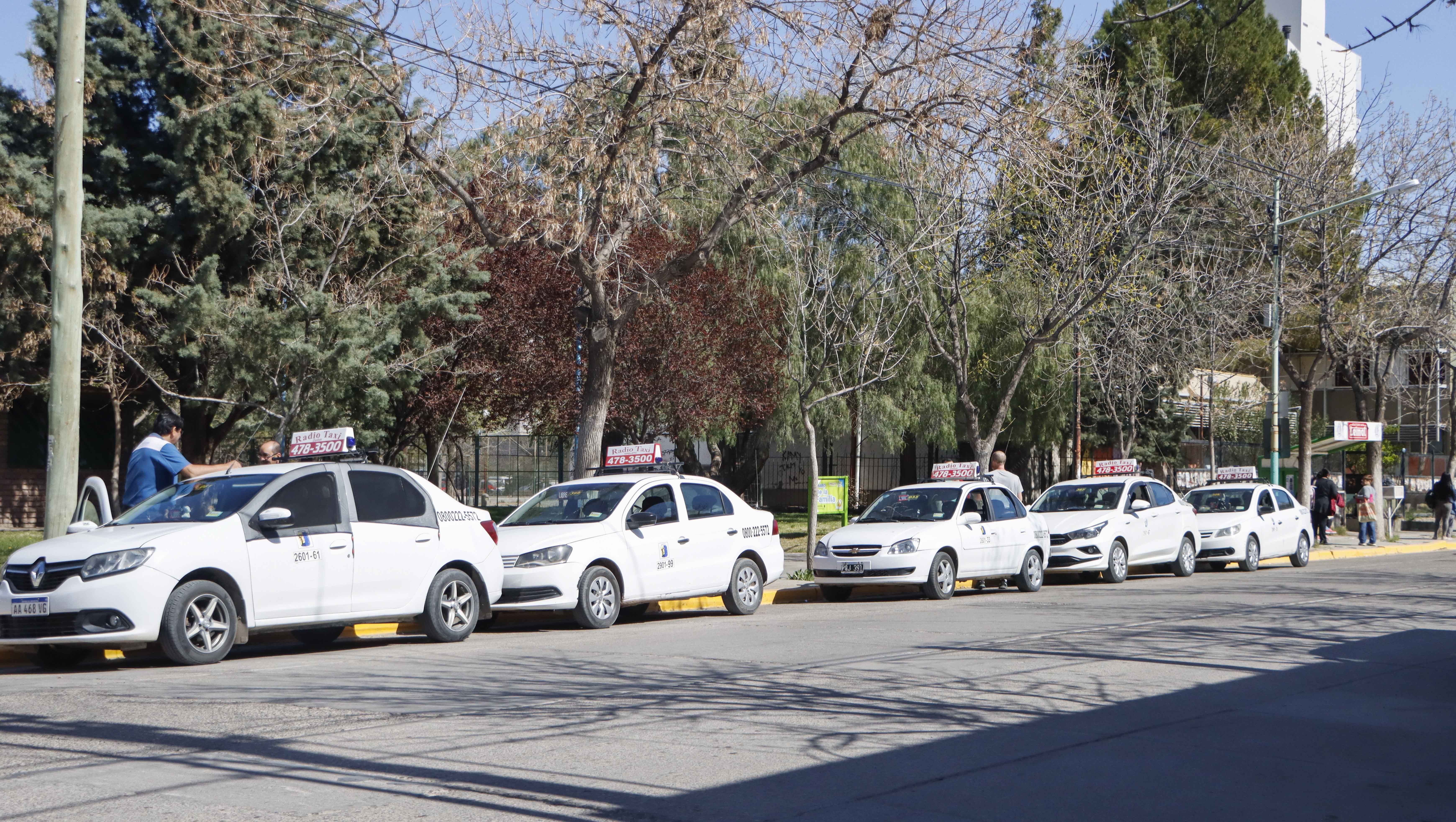 Admiten que hay 120 licencias de taxis de más en Cipolletti