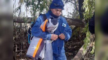 video: la detencion del hombre escrachado por degenerado