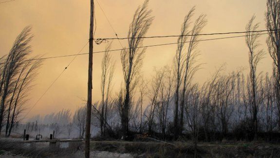 Alerta por fuerte vientos en el Valle: ¿cuál será el peor momento del día?