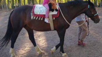 buscan a yegua robada de un centro de equinoterapia 