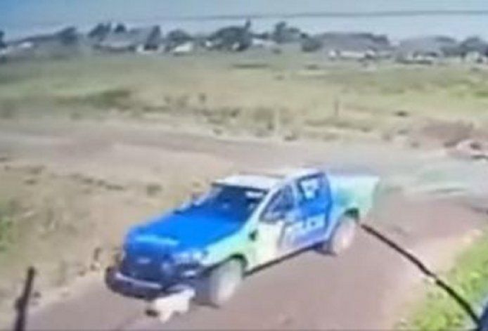 Policías atropellaron adrede a un perro y lo mataron (captura vídeo)&nbsp;