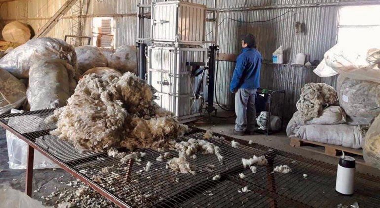 Chubut y Río Negro lograron precios récord al vender de manera conjunta lana mohair