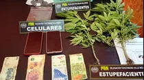 Durante el procedimiento se incautaron 300 dosis de cocaína y dos kilos de marihuana en distintos formatos.&nbsp;