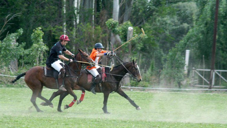 Un domingo diferente con la Expo Caballos del Valle