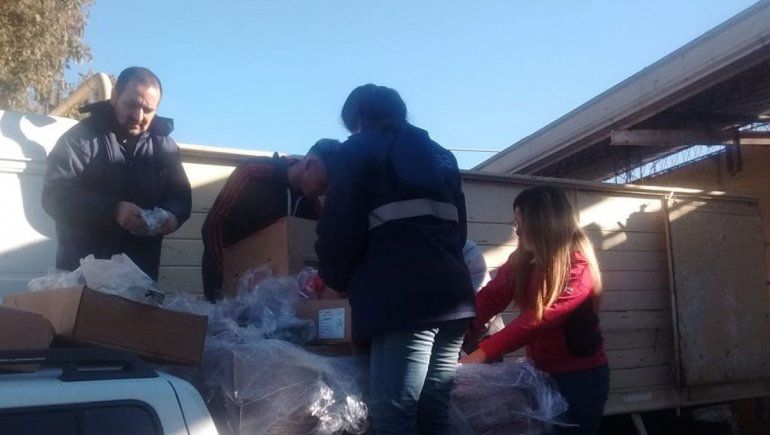 Un paro de 48 horas afecta los controles del Senasa