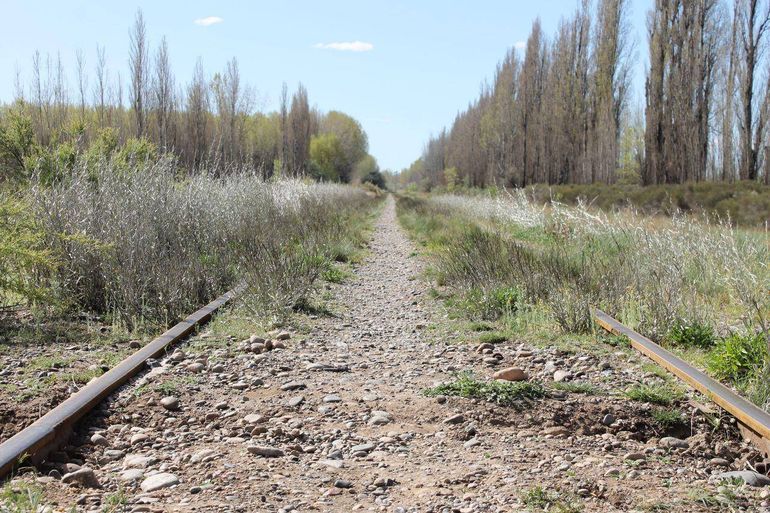 Los sitios de los femicidios no recuerdan a las víctimas. Cipolletti