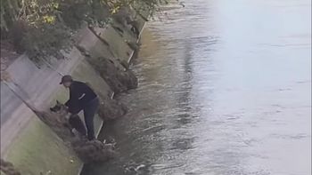 El hecho ocurrió este miércoles durante la mañana. Foto: Gentileza (Mario Villasuso - AN Allen).