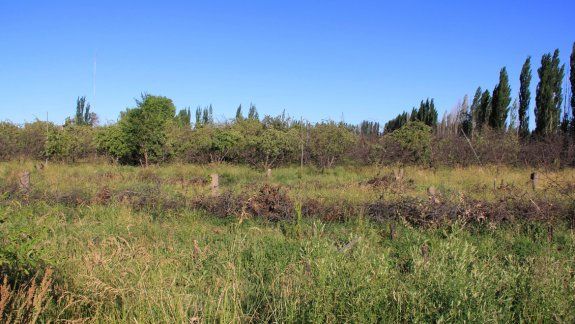 En la zona norte hay mucha tierra disponible para solucionar gran parte del problema habitacional y también dar cabida a la producción de las pymes.