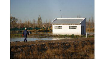 buscan solucion a la planta cloacal