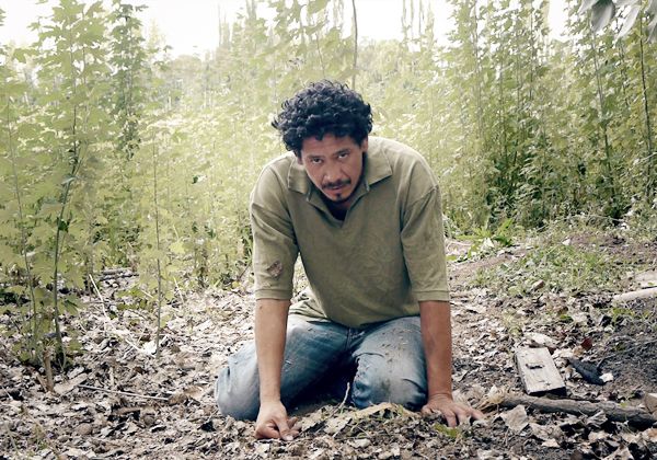 Llega El Curador, una película con sello regional