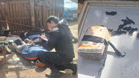 Los allanamientos se realizaron en distintos puntos de Cipolletti. Foto de la policía.