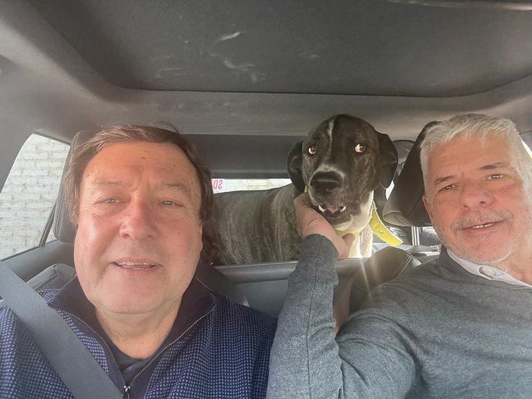 El perro Polo acompaña al intendente en las visitas oficiales. 