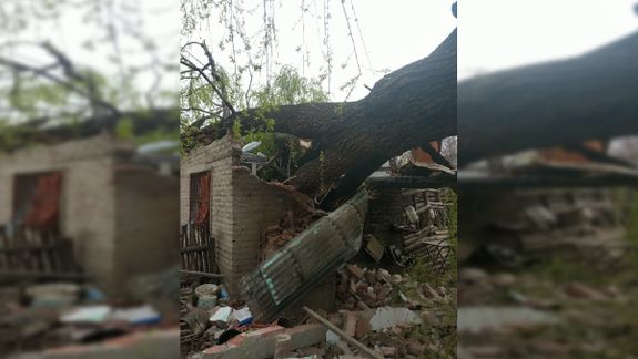 Una rama cayó encima de su casa y lo perdió todo: las columnas se quebraron como escarbadientes.