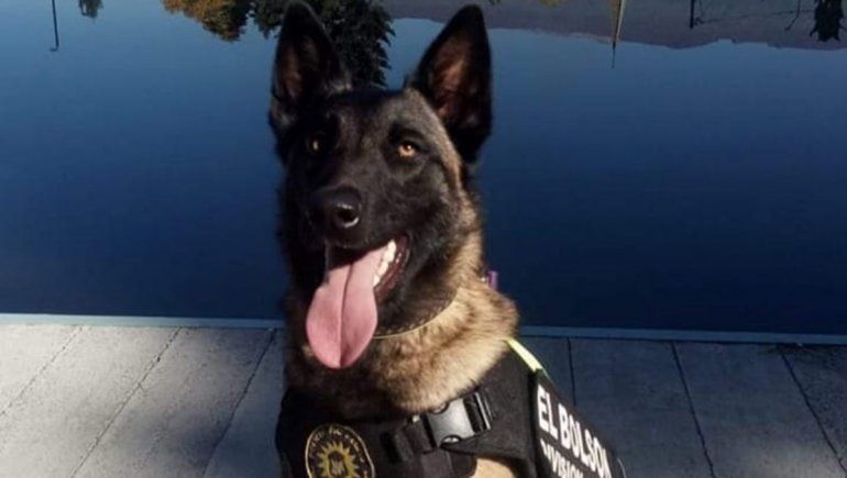 Delincuentes amenazaron con un hacha al sereno de una obra y le robaron todo 