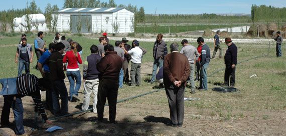 XI Curso Práctico de riego localizado en frutales