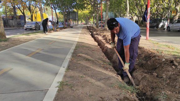 La bicisenda sobre calle Alem ya tiene un 70% de avance