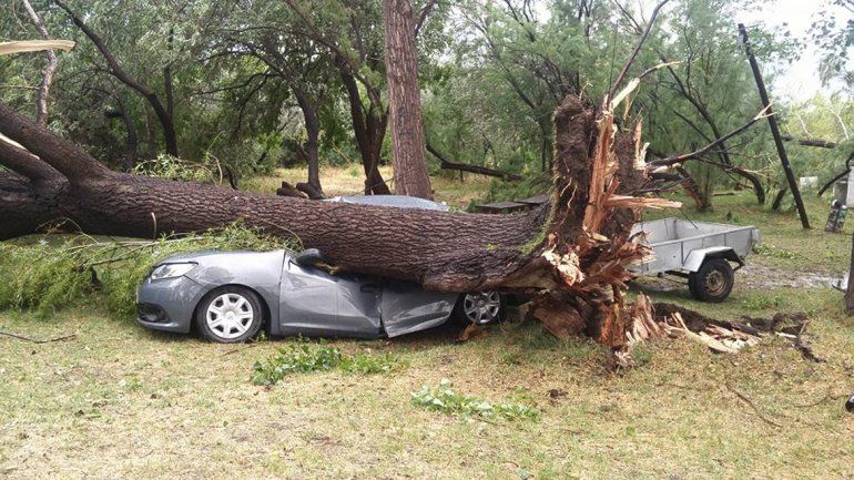Temporal en Conesa: dos muertos tras la caída de un árbol