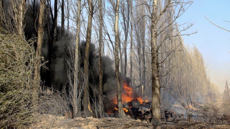 El incendio dañó las plantas y provocó pérdidas totales.