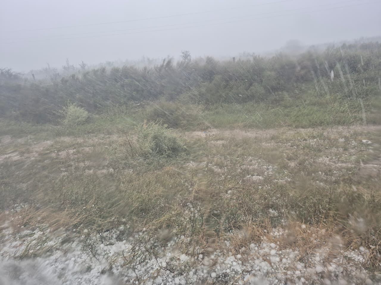 La lluvia intensa podría generar pérdidas en una temporada clave para las exportaciones de la Norpatagonia.