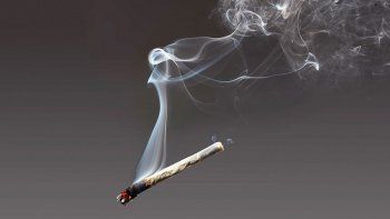 el consumo de marihuana no para de crecer en neuquen