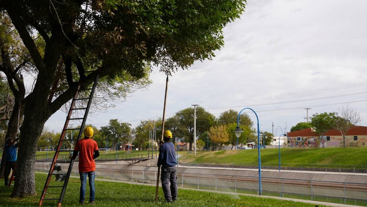 Edersa hará cortes de energía en Cipolletti y otras tres ciudades