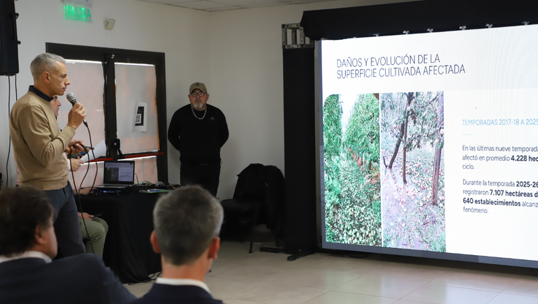 La provincia junto al CFI anunciaron líneas de financiamiento para productores frutícolas.&nbsp;