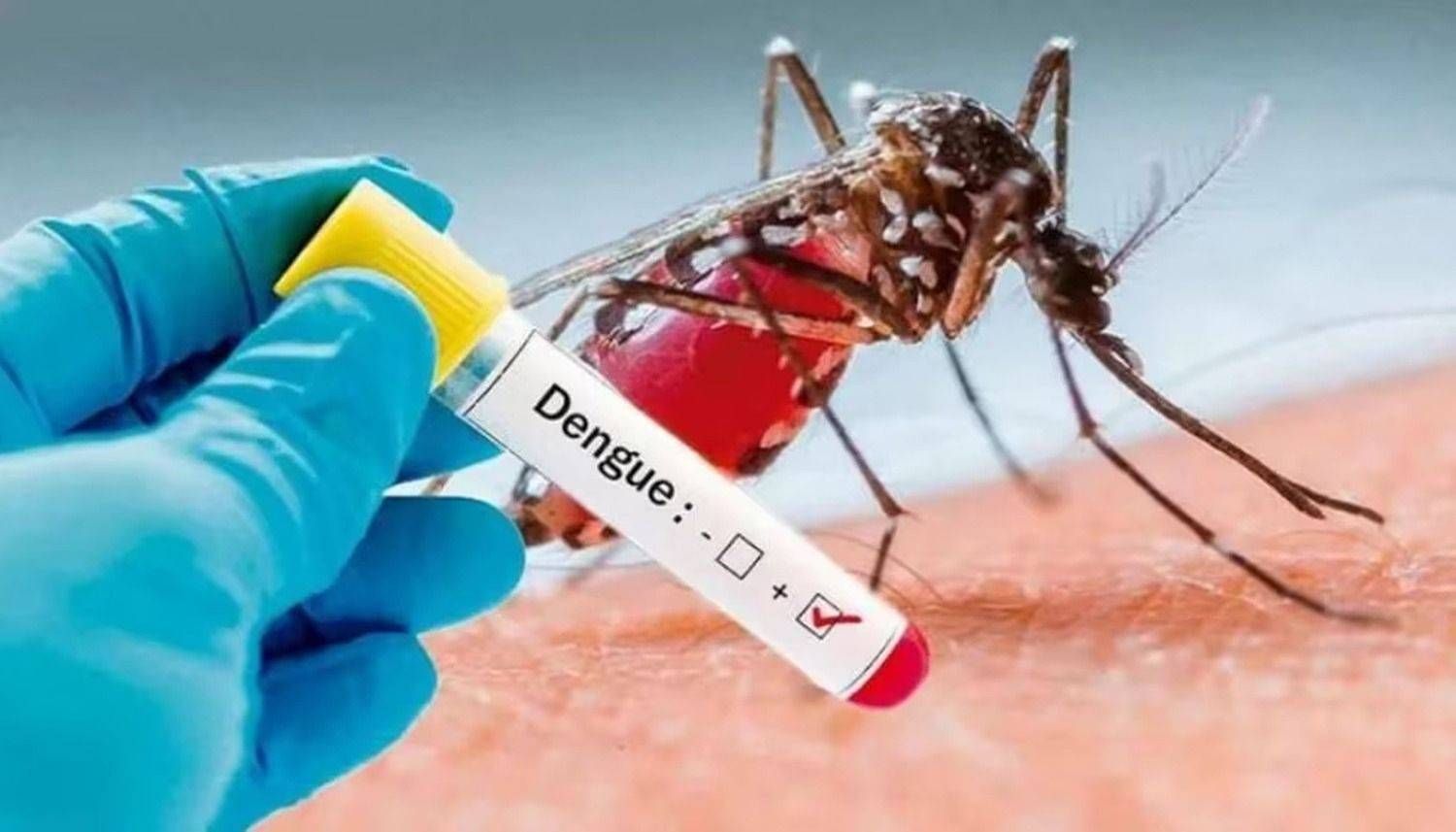 Aumentan los casos de dengue: cuáles son las zonas más afectados del país