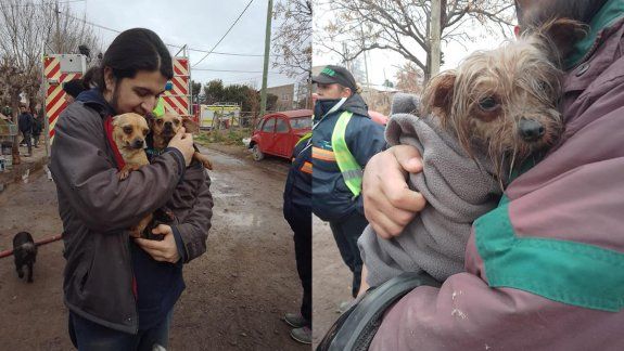 Vecinos rescataron a tres perritas de un incendio en Allen