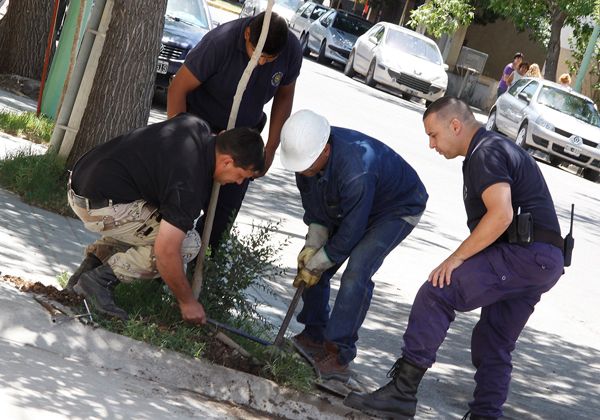 Necesidad de sancionar a los responsables
