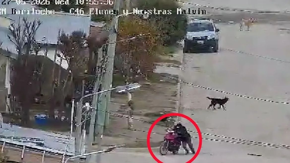 En pocos minutos un móvil de la Comisaría 42° logró interceptarlo . Foto: Gentileza. | LMCipolletti.com En pocos minutos un móvil de la Comisaría 42° logró interceptarlo . Foto: Gentileza.