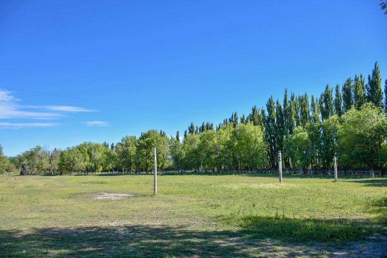 El campo de doma listo para la gran final. Gentileza: Municipalidad de Cervantes. El campo de doma listo para la gran final. Gentileza: Municipalidad de Cervantes.
