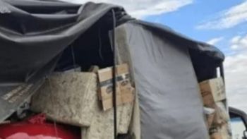el millonario hallazgo de gendarmeria en un camion de mudanza en plena ruta