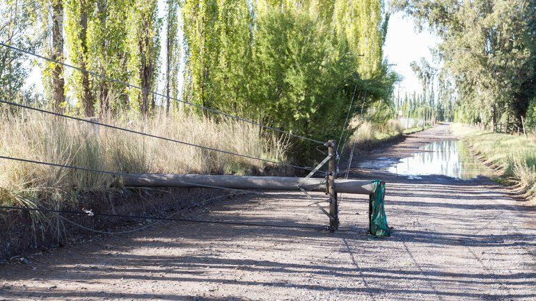 La red eléctrica colapsó por el calor y la tormenta