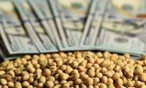 Los dólares de la cosecha gruesa. Allí están puestas todas las esperanzas del Gobierno para domar al mercado cambiario.