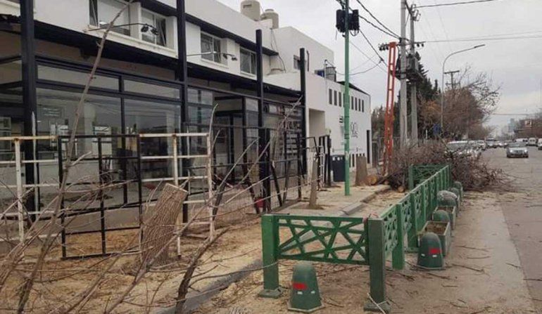 Foto gentileza: ONG Maipué