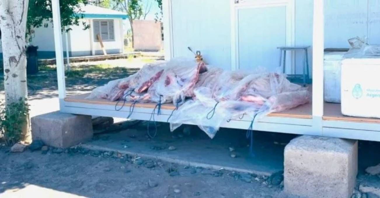 La carne vacuna y porcina fue decomisada tras el hallazgo.