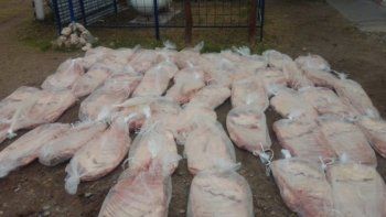 decomisaron alrededor de 500 kilos de carne sobre la ruta 22