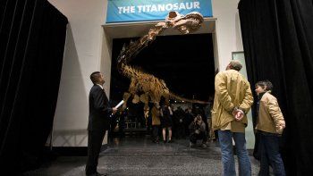 Los restos fueron encontrados en Neuquén, Chubut, Río Negro y San Juan.