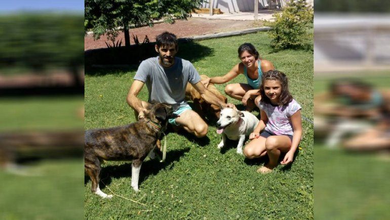 Los perritos Cata y Oki, amigos inseparables, tienen un nuevo hogar