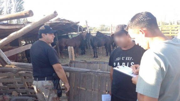 Fueron por una denuncia de maltrato animal