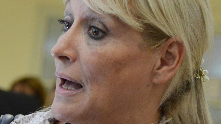 Baquero Lazcano rechazó la defensa del Poder Ejecutivo.