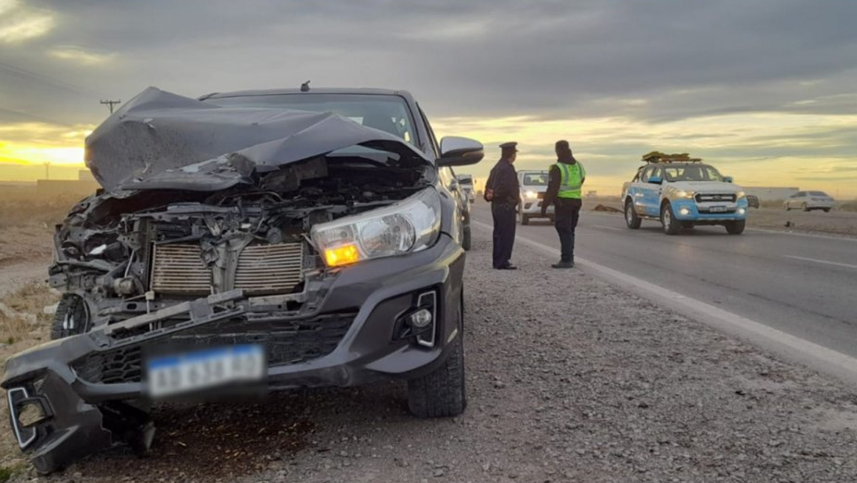Peligro: animales sueltos provocan accidentes en Autovía Norte