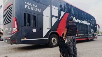 El mega operativo simultáneo se desarrolló en General Roca y Allen.&nbsp;