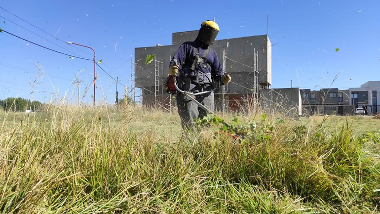 Los lotes ociosos suelen convertirse en baldíos que invaden los yuyos y las alimañas con los riesgos para la salud que ello conlleva. También pueden convertirse en lugares propicios para que se cometan delitos. Por eso, se los debe desmalezar y darles una utilidad. Los lotes ociosos suelen convertirse en baldíos que invaden los yuyos y las alimañas con los riesgos para la salud que ello conlleva. También pueden convertirse en lugares propicios para que se cometan delitos. Por eso, se los debe desmalezar y darles una utilidad.